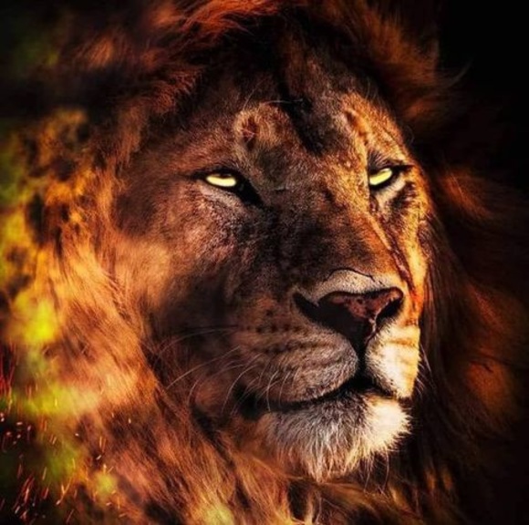 Meet your Posher, Matthew - Picture 1 of 1